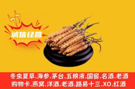 临汾侯马市回收冬虫夏草